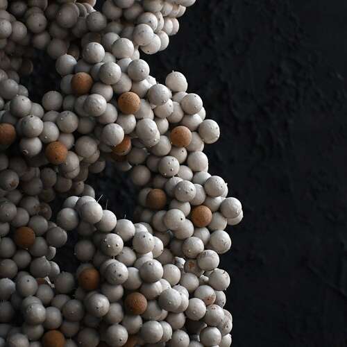 Cell Form
