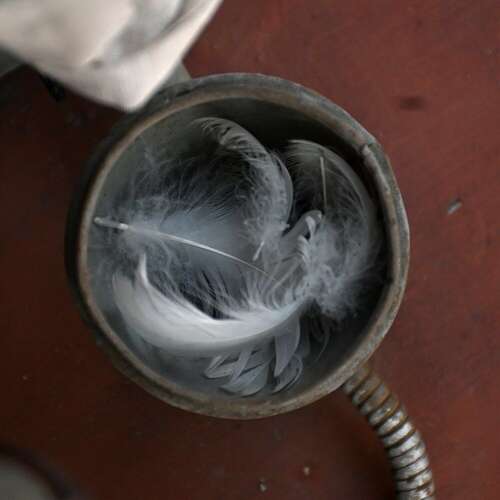 Feather And Down