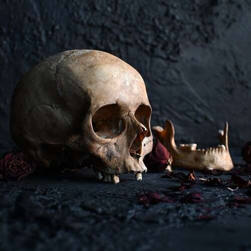 Skull