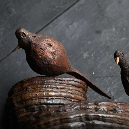 Birds