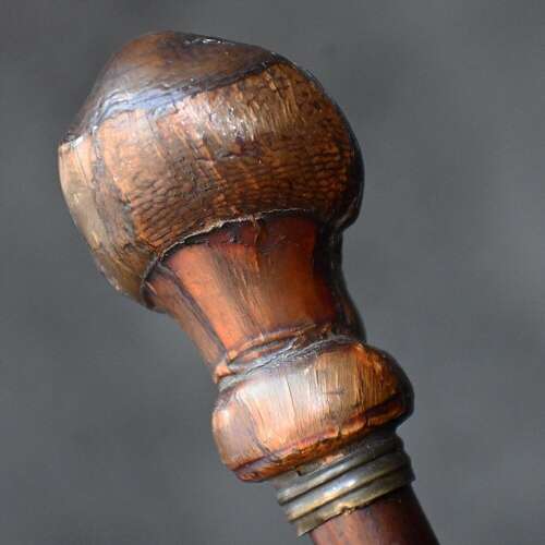 Cane