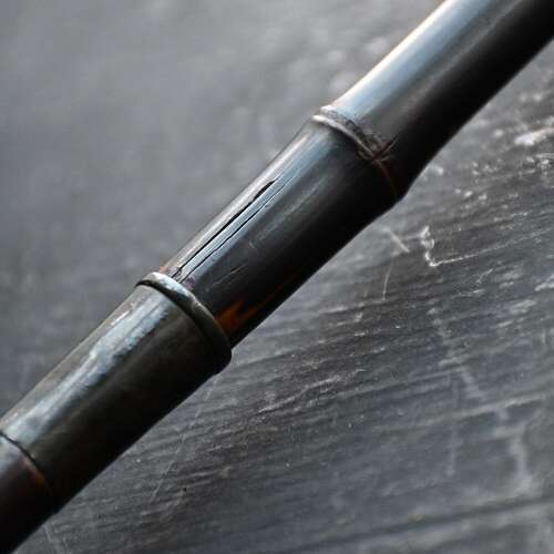 Cane