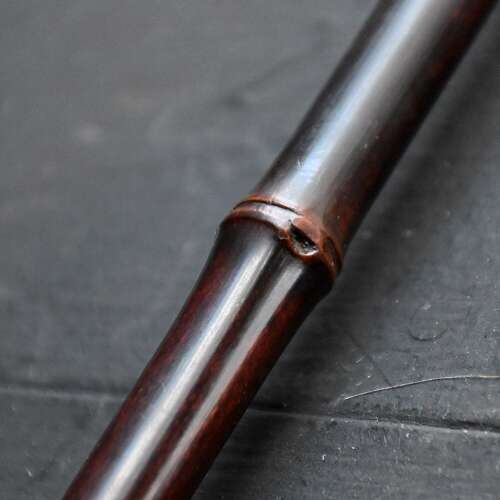 Cane