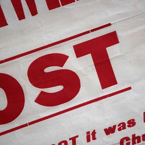 Lost parrot