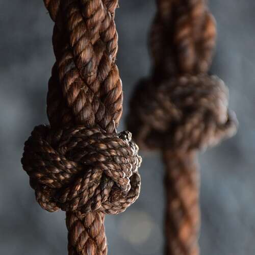 The Trapeze artist