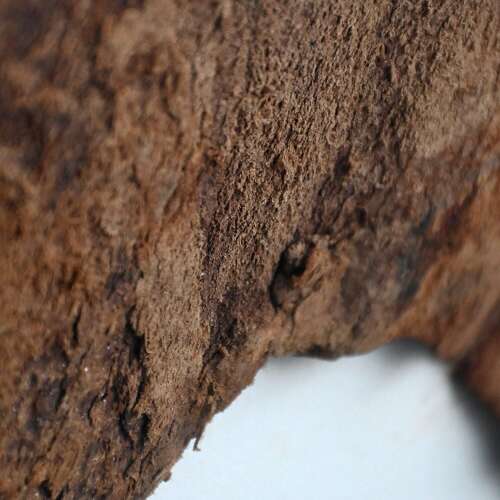 The Walls Have Ears