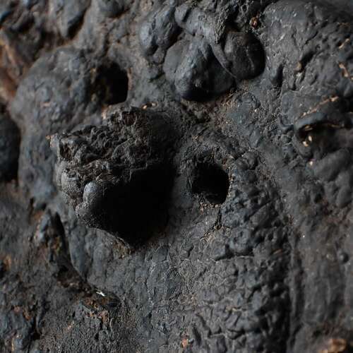 Nepalese Fungus Mask