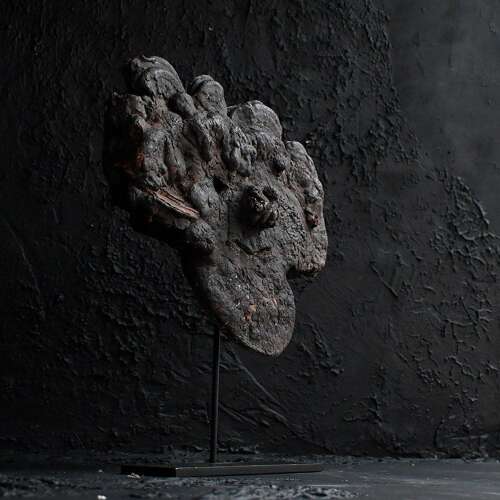 Nepalese Fungus Mask