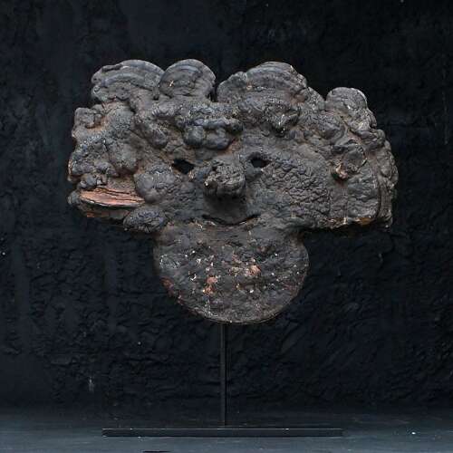 Nepalese Fungus Mask
