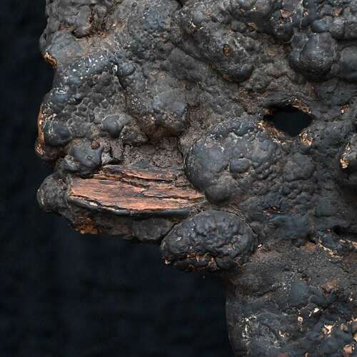 Nepalese Fungus Mask