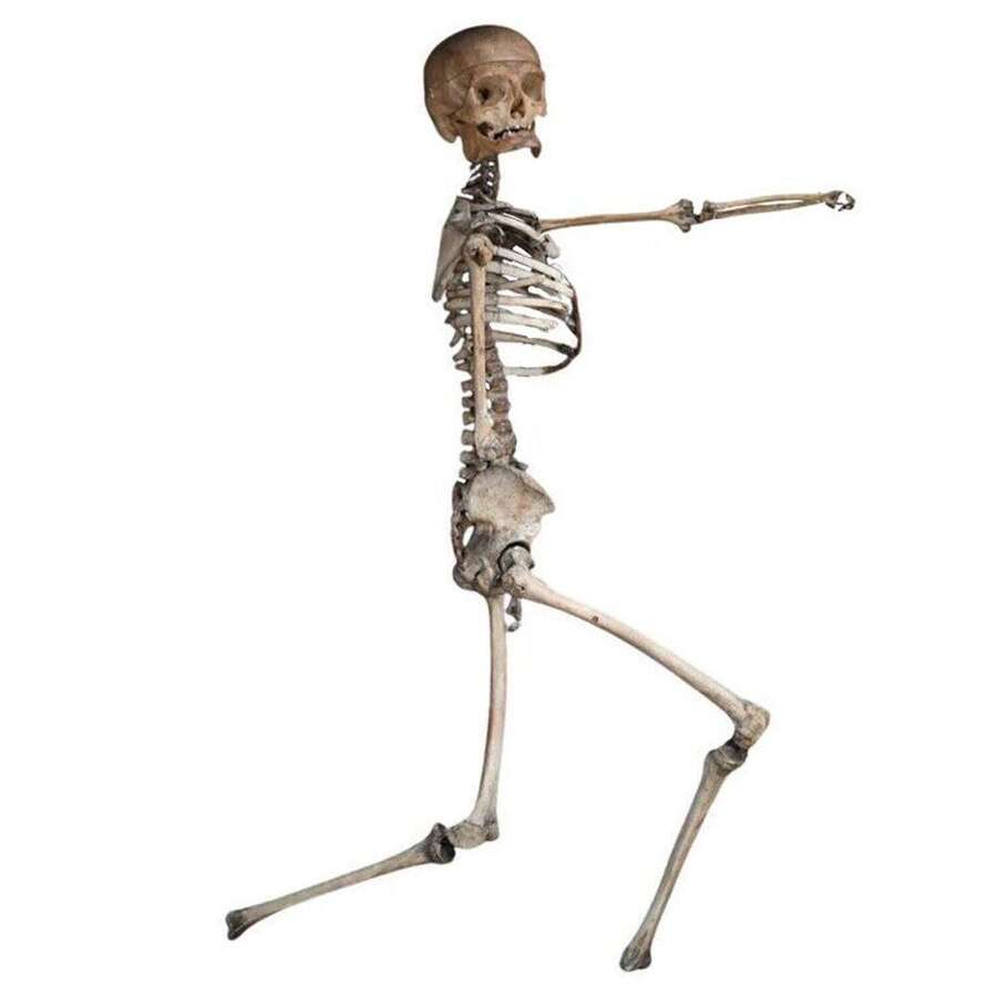 Boney