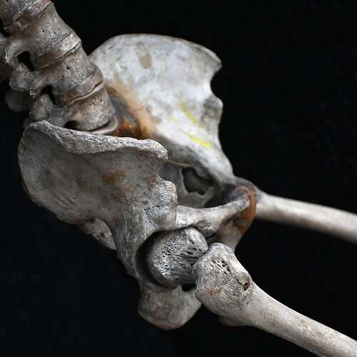 Boney