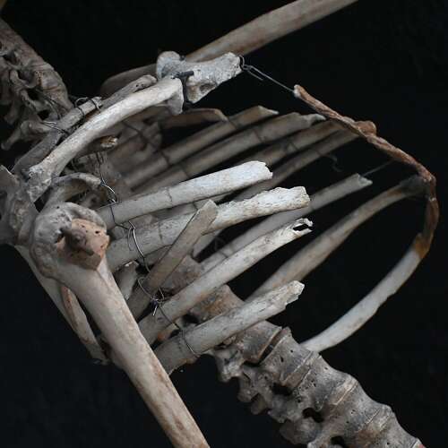 Boney
