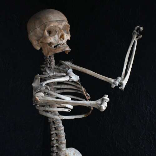 Boney