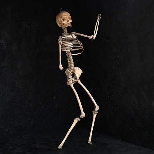 Boney