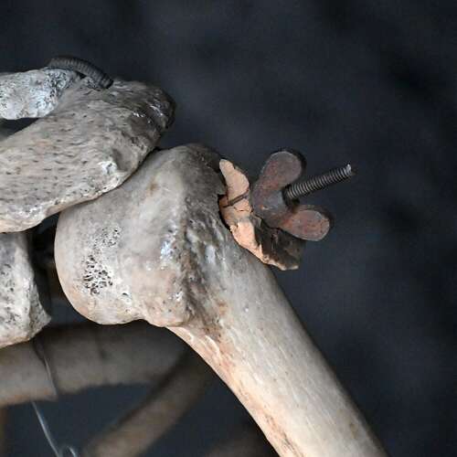 Boney