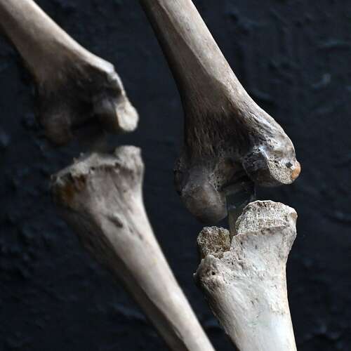 Boney