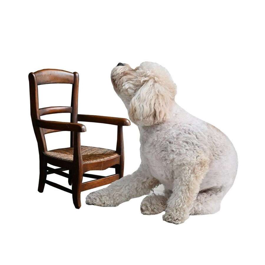 Take A Seat