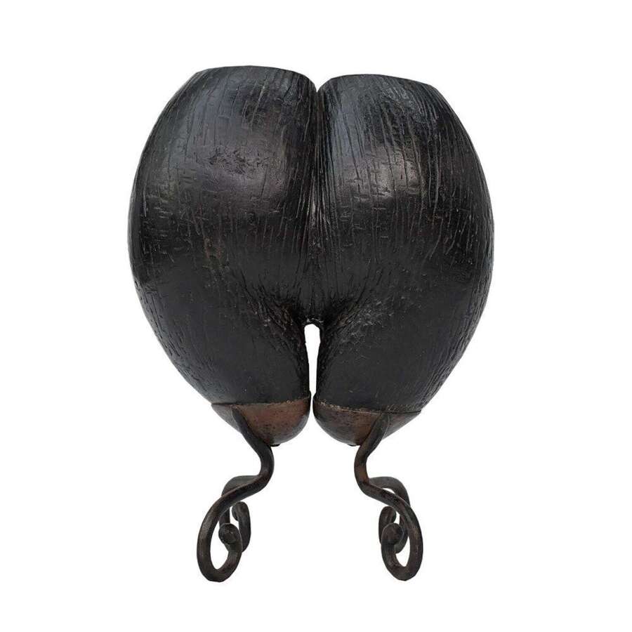 Coco De Mer