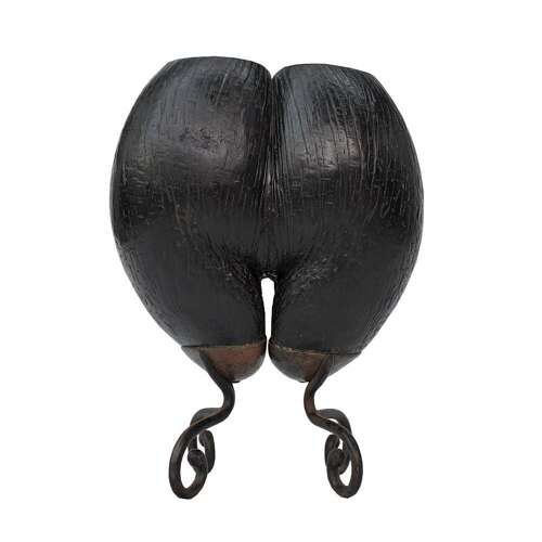 Coco De Mer