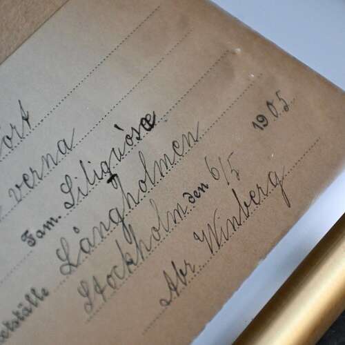 Botanic Samples Circa 1906