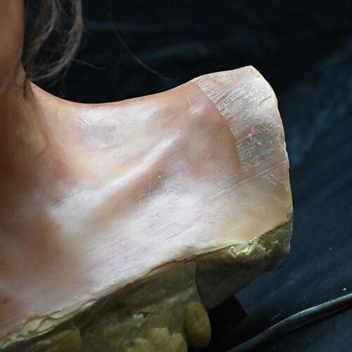 Rupert Wax