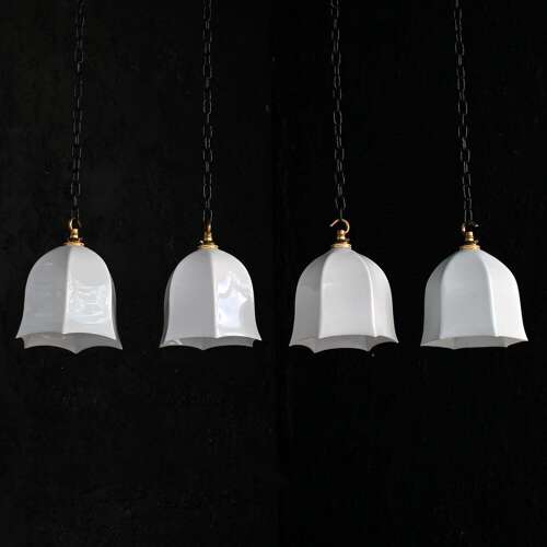 Tulip Lights