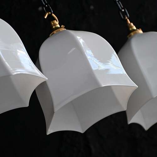 Tulip Lights