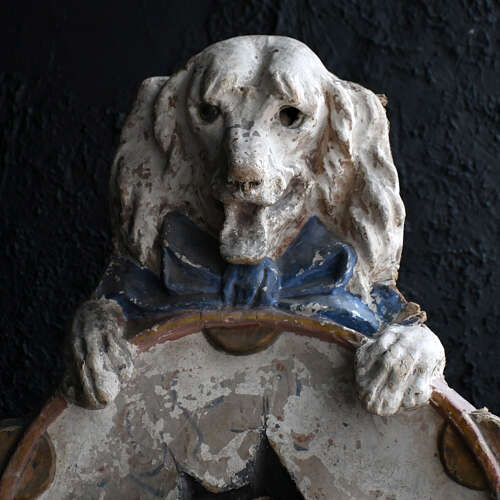 Passe Boule Dog